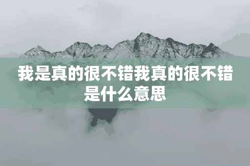 我是真的很不错我真的很不错是什么意思